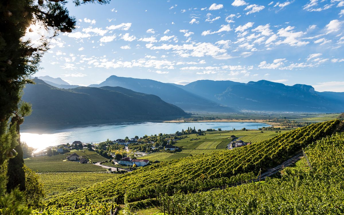 Apartments on Lake Caldaro | South Tyrol, Italy