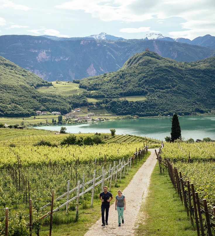 A leisurely stroll through the vineyards in Oltradige