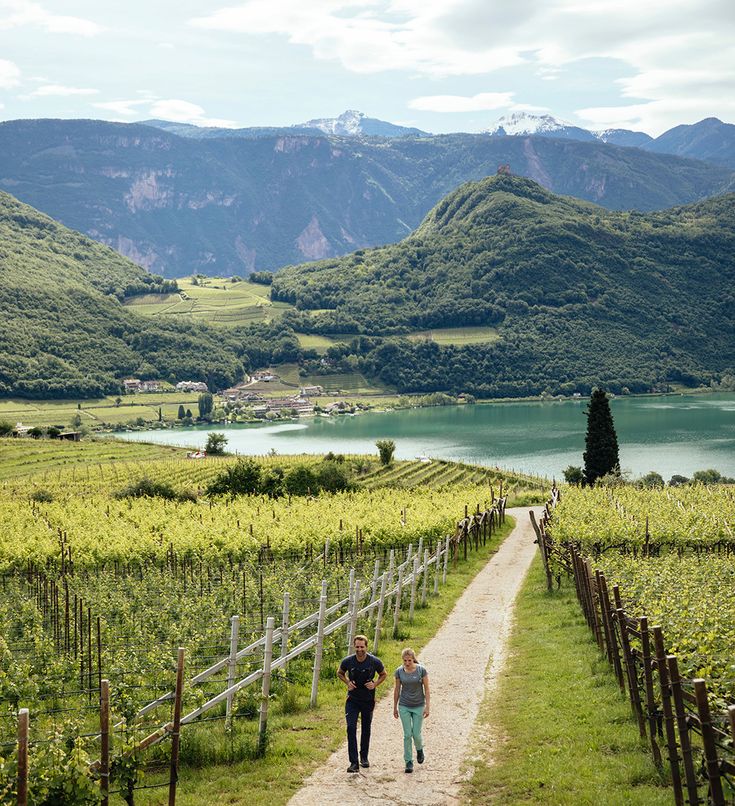 Gemütlich durch die Weinberge im Überetsch spazieren