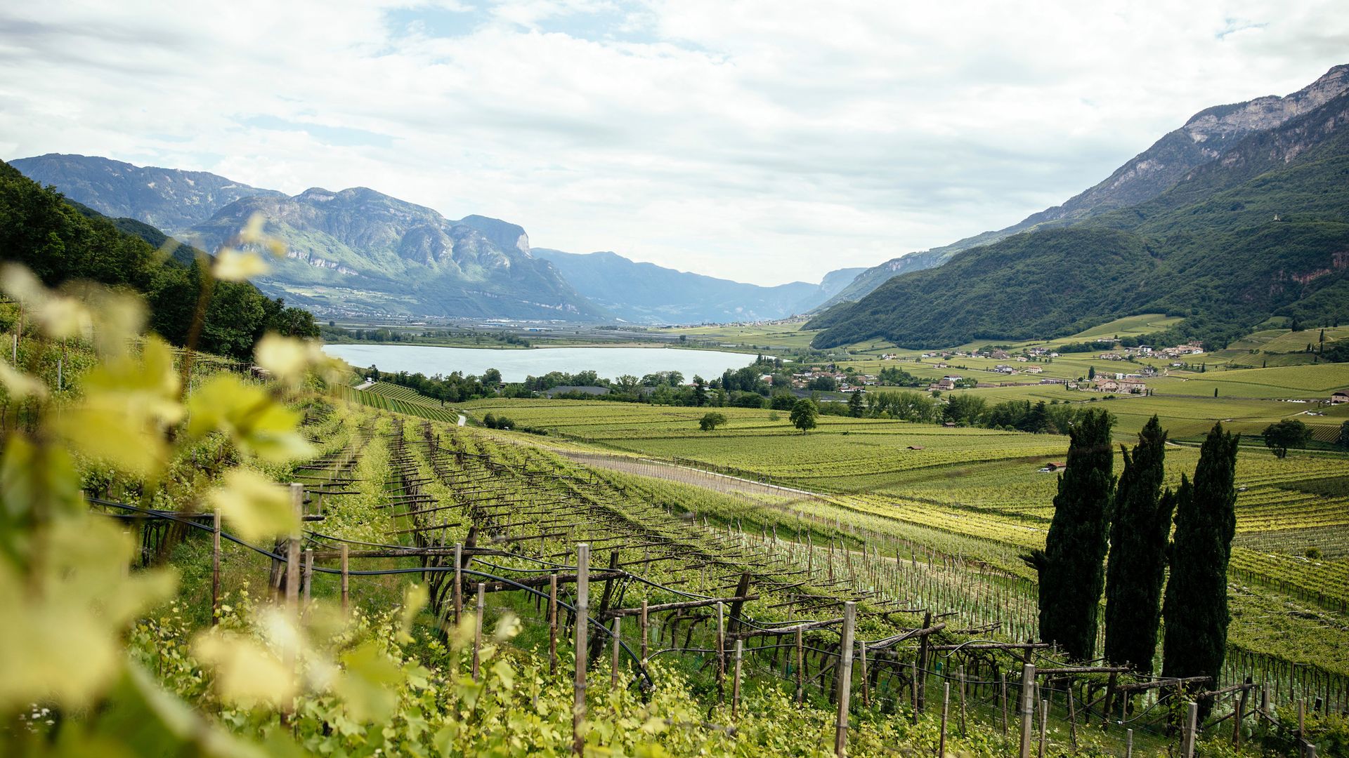 View South Tyrolean Wine Road Lake Kaltern