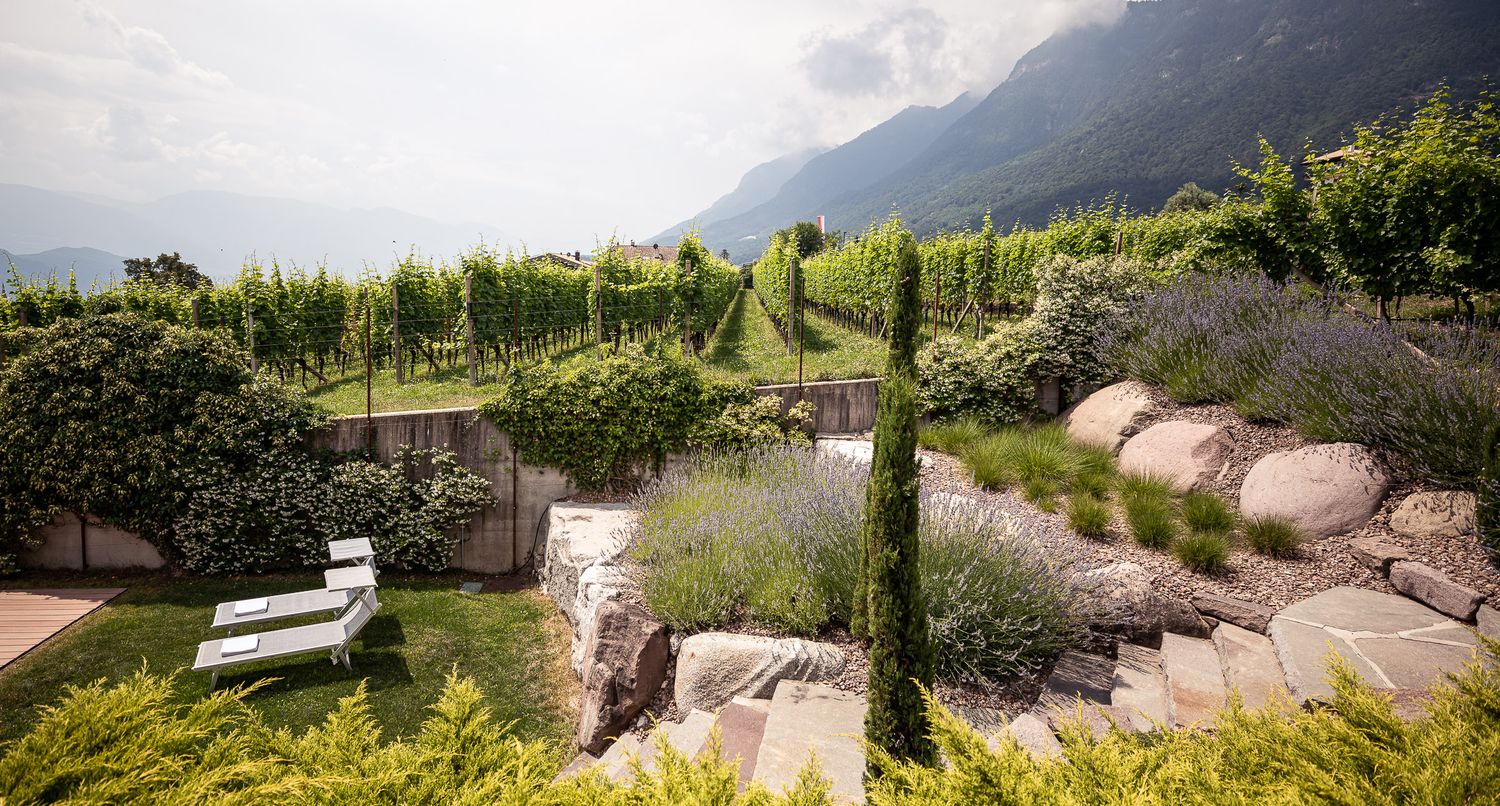 Traumhafter Ausblick über die Weinberge Kalterns