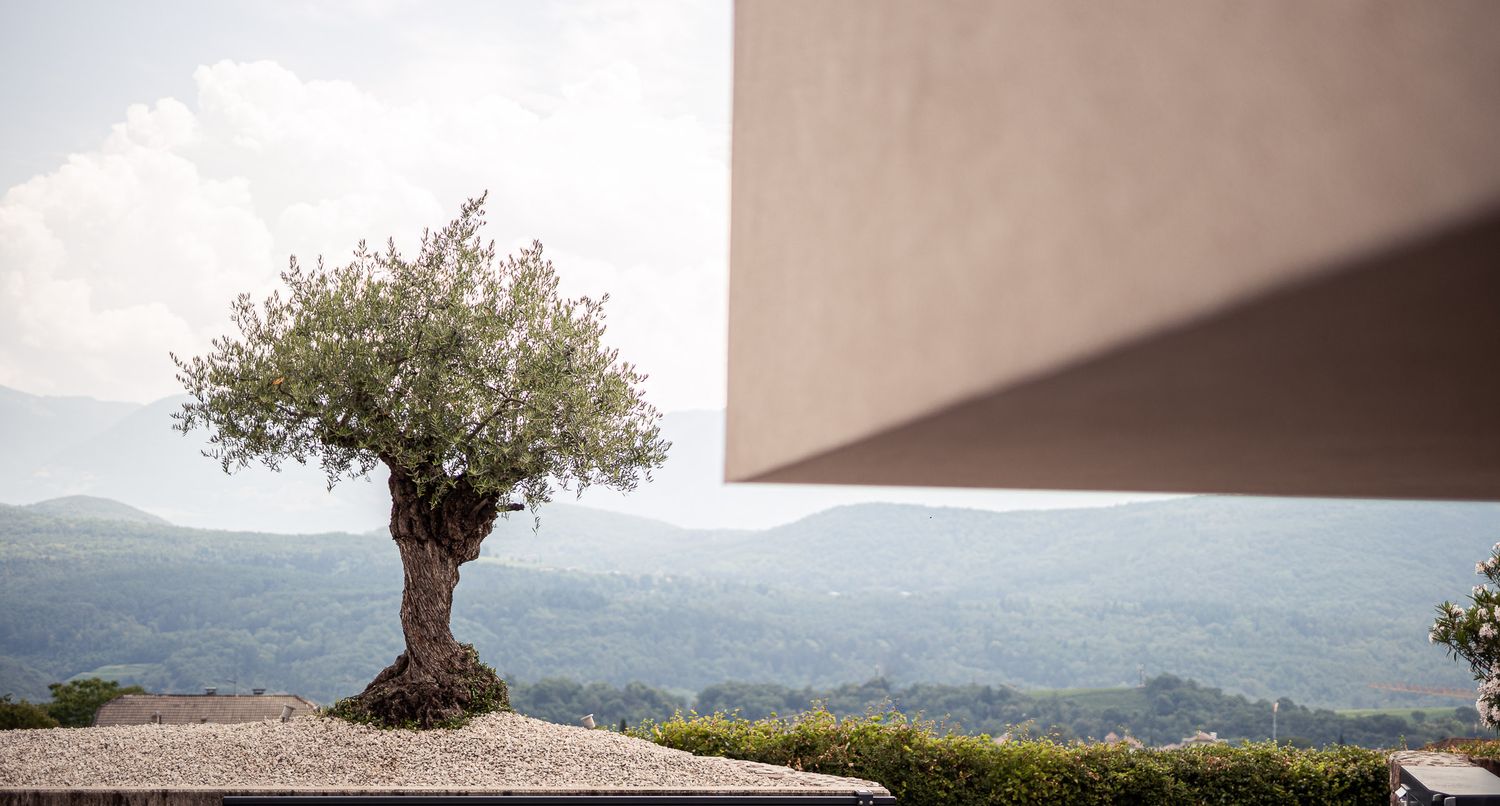 Panoramablick und ruhige Umgebung in der Villa Pernstich in Kaltern