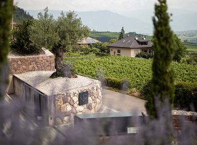 Die Villa Pernstich liegt in ruhiger Lage in Kaltern