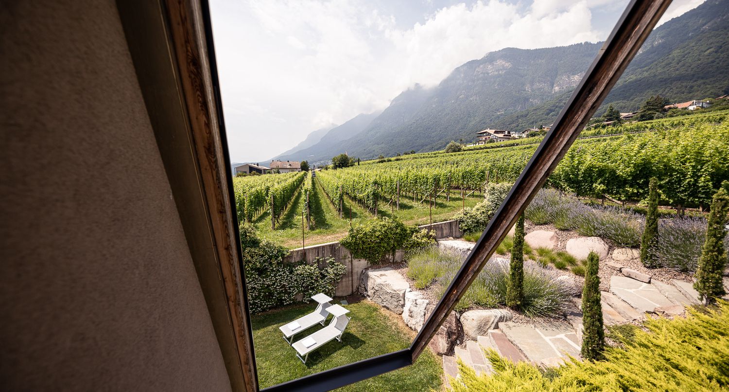 Garten mit Ausblick auf die angrenzenden Weinberge