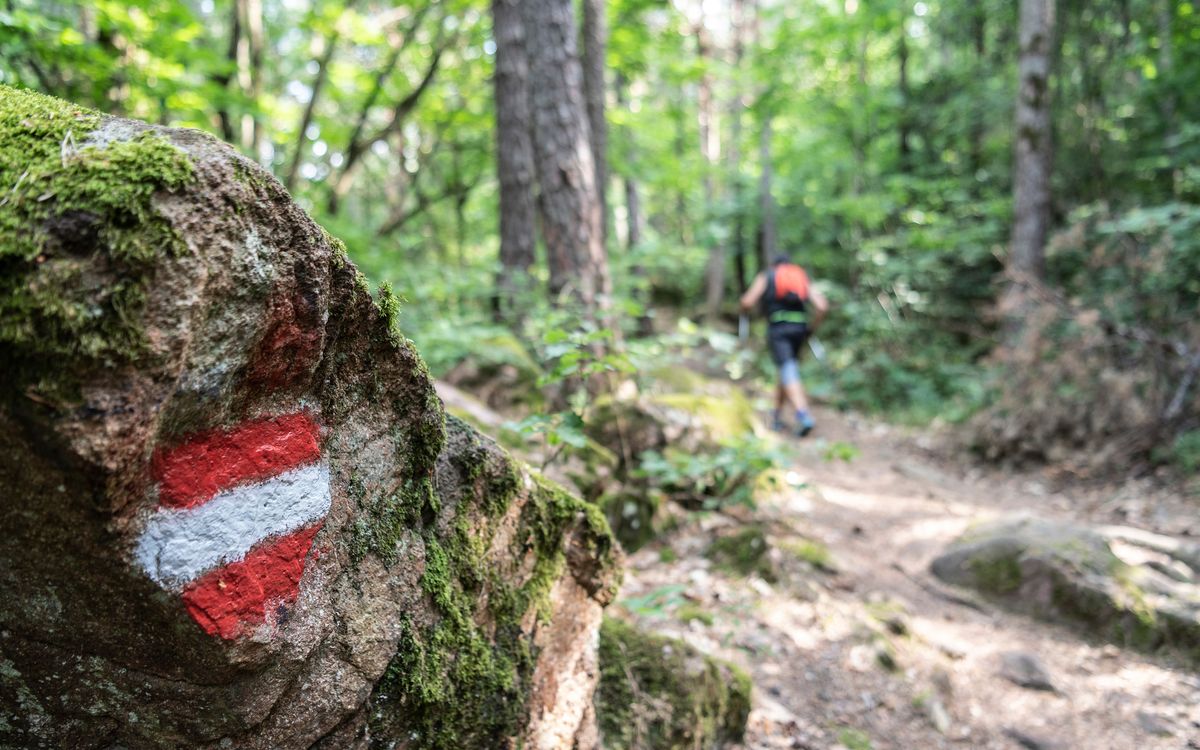 Attraverso i boschi al Lago di Caldaro | Villa Pernstich, Alto Adige